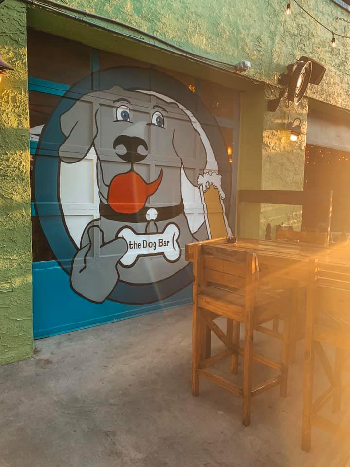 garage door with dog mural at Dog Bar in downtown St. Pete