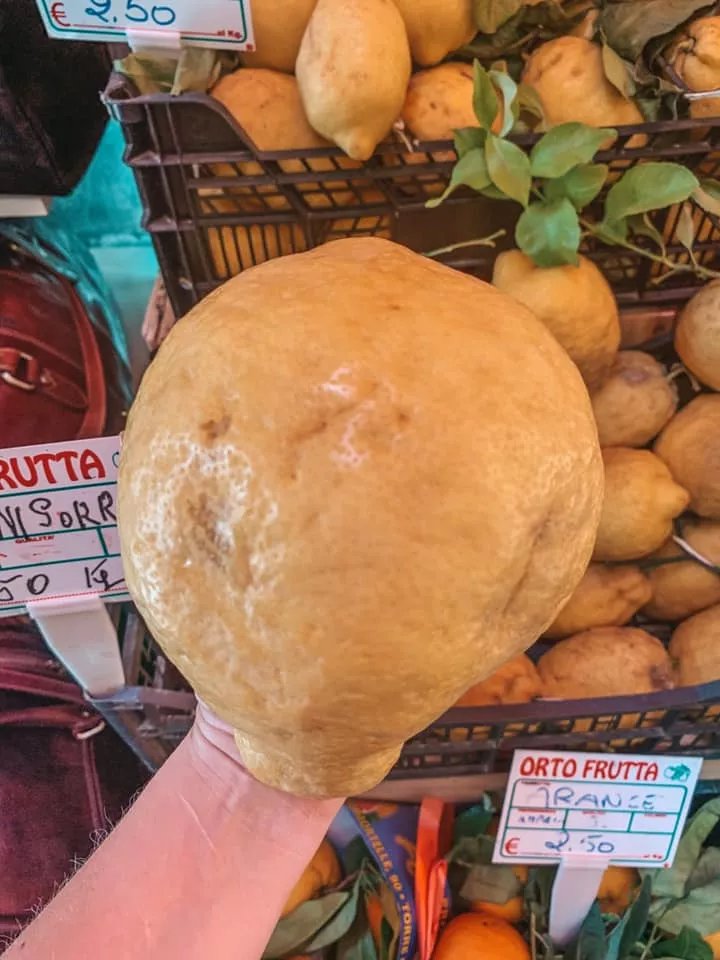 huge lemon from Sorrento Italy used to make limoncello