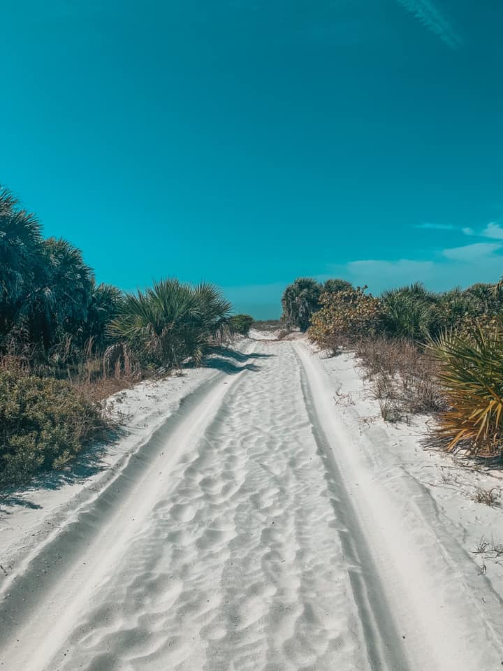 Caladesi Island sandy trail