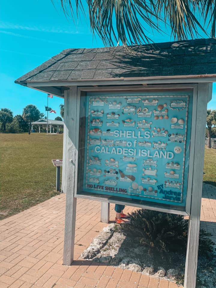 Caladesi Island shells and signage