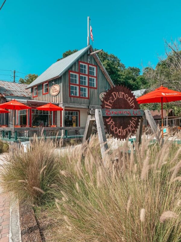 7 Best Breweries in Dunedin Guided by Destiny