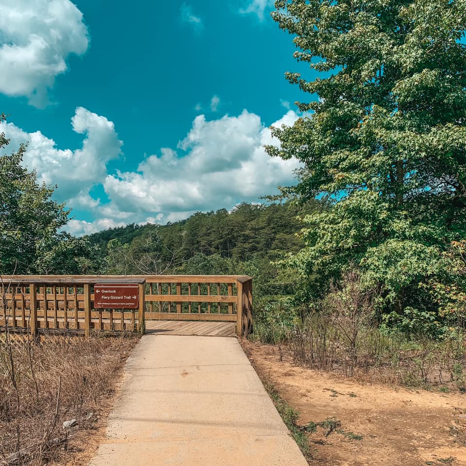 View of trail signage at overlook of Foster Falls