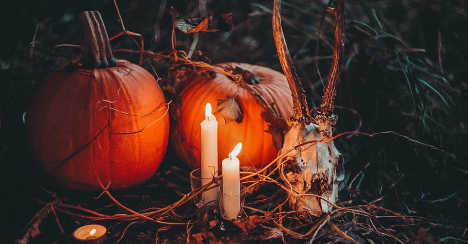 candles lit around an animal skull and pumpkins on the ground at night