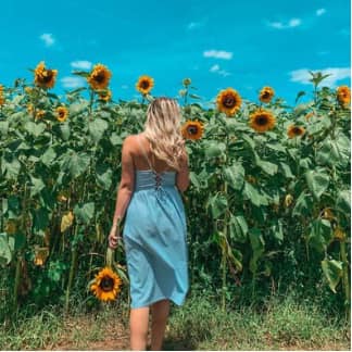 woman in a blue dress in a sunflower field on a sunny day