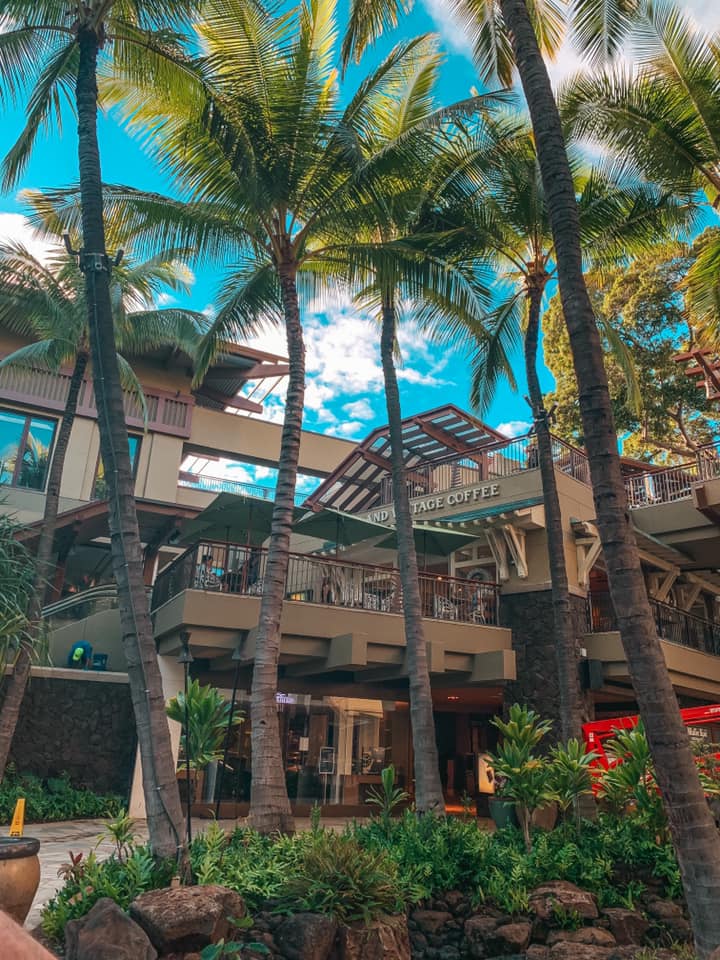 View of Island Vintage Coffee Shop from the street. It's surrounded by several palm trees and you can see the beautiful blue sky in the background.