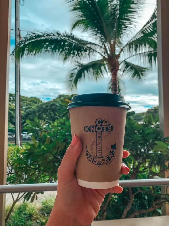 Holding up Knots Coffee cup in front of a palm tree