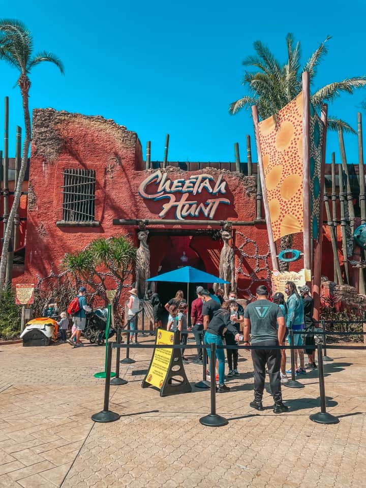 Cheetah Hunt ride at Busch Gardens