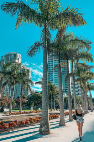 33+ Best Things to Do in Downtown St. Petersburg, Florida