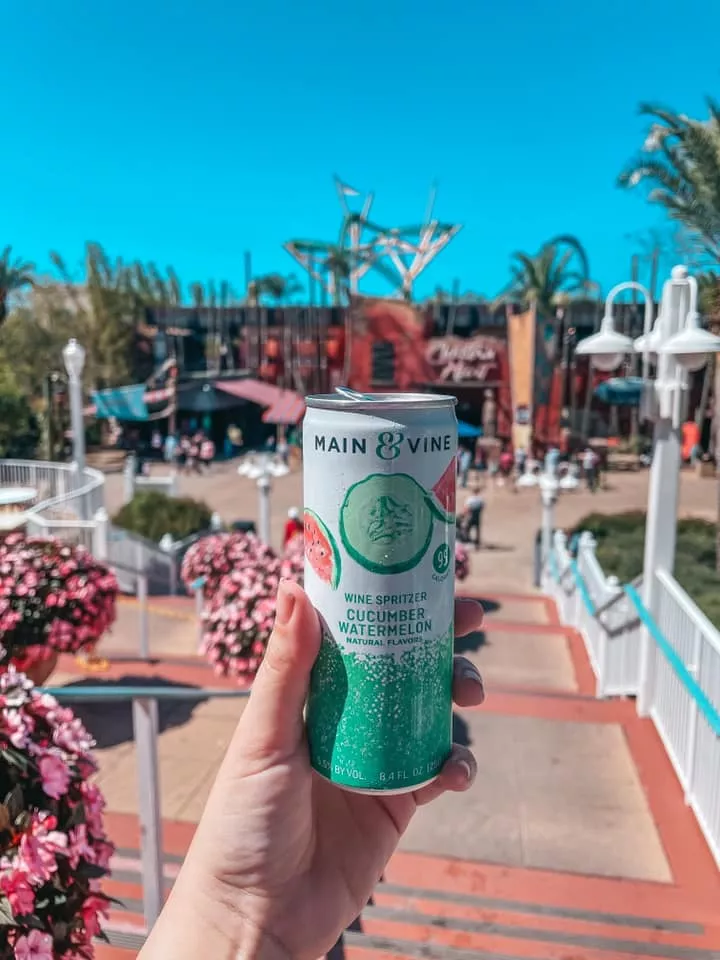 Sparkling drink at Busch Gardens in Tampa