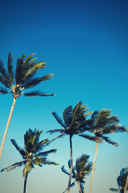 ultimate florida packing list