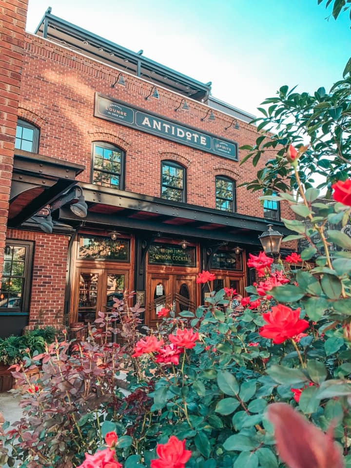 Antidote entrance with flower bushes in front