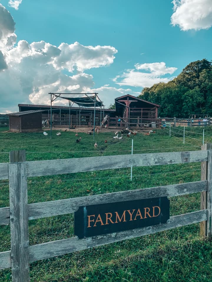 Farmyard at Antler Village on the Biltmore Estate