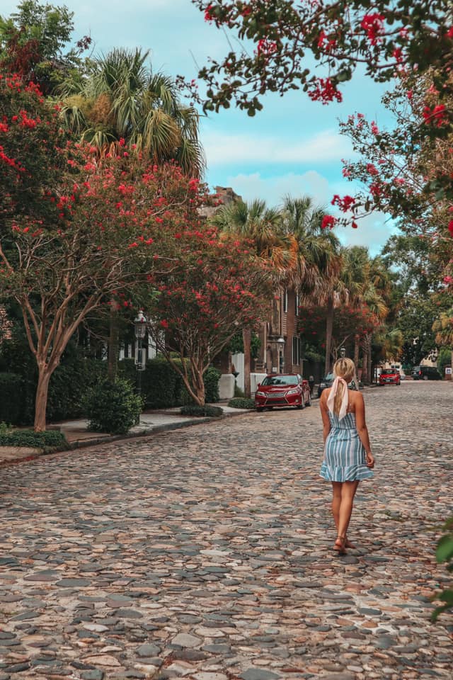 Fall foliage in Charleston on cobblestone streets