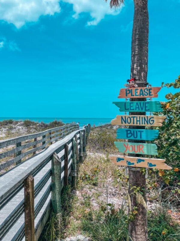 Local's Guide 11 Things to Do in Indian Rocks Beach