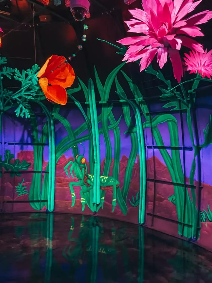 Neon colored paint and flowers inside of Meow Wolf