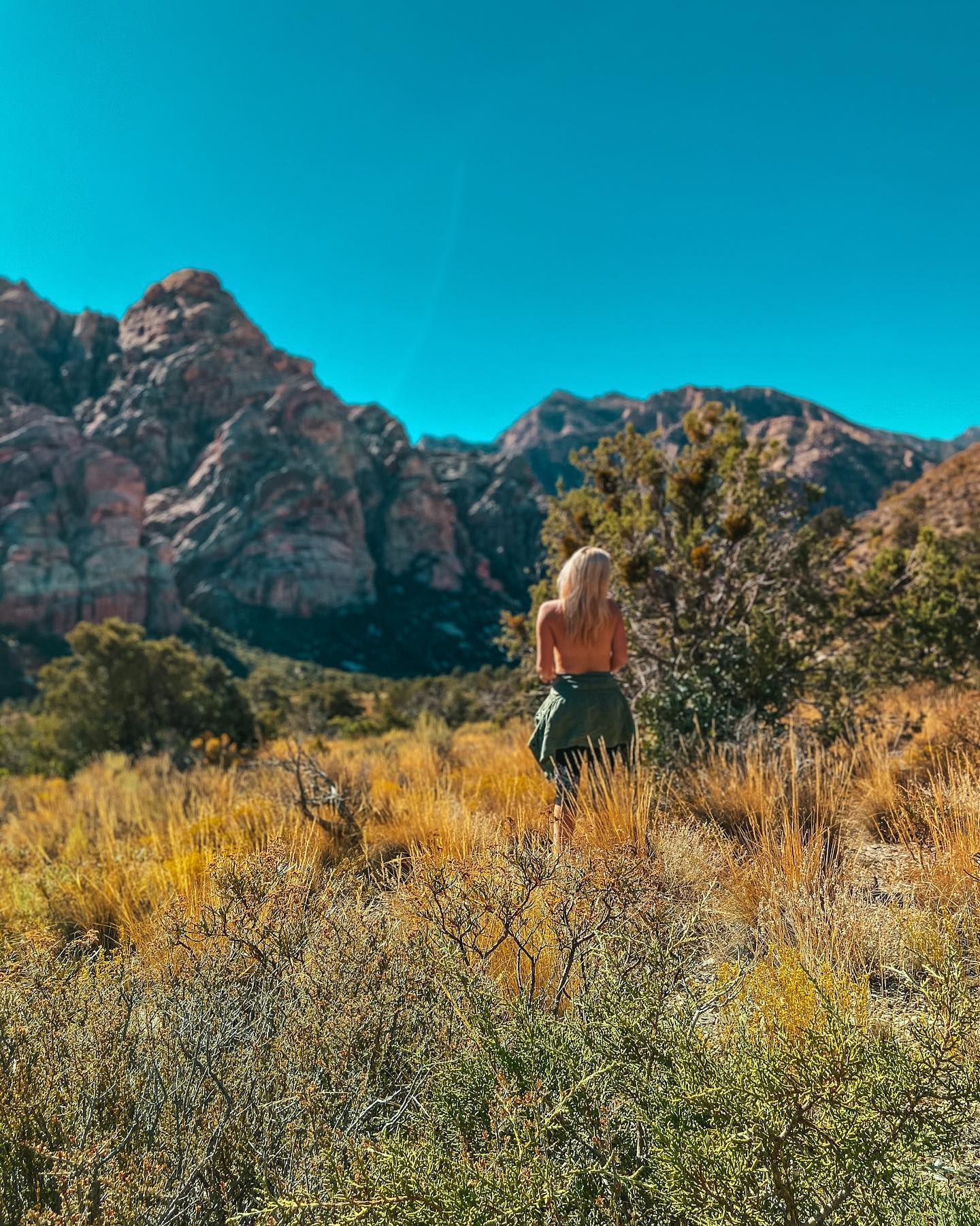 Red rock canyon mountains and yellow wildflowers