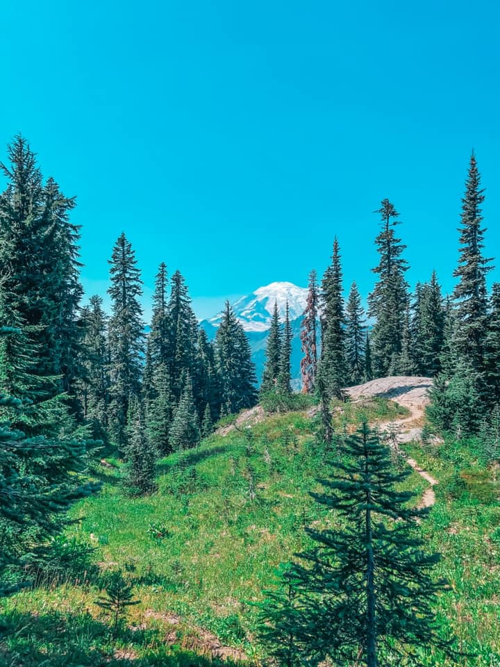 Evergreens and Mt. Rainier views from Naches Peak Loop trail