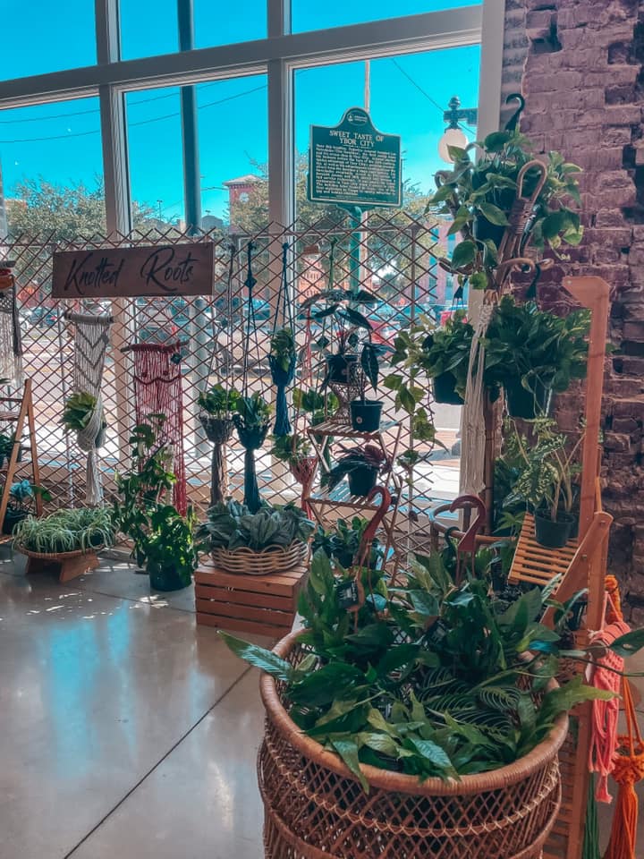 inside Indie Flea market in Tampa. Several plants