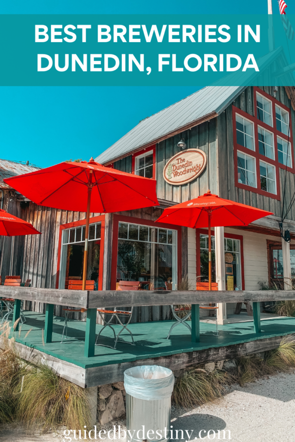 7 Best Breweries in Dunedin Guided by Destiny