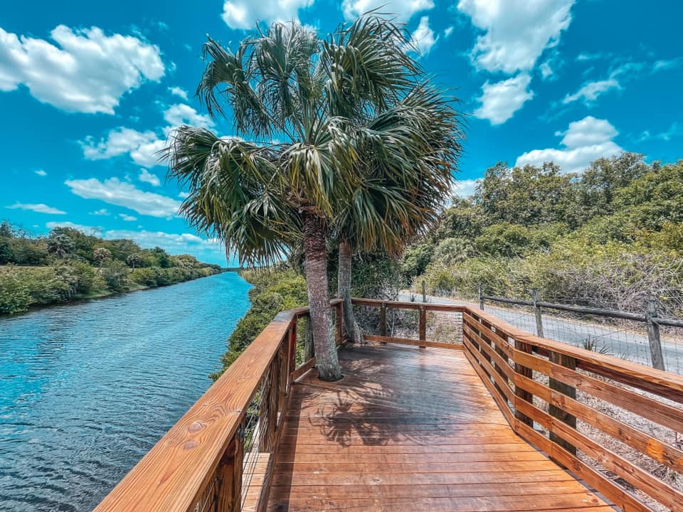 Views from the free Upper Tampa Bay Trail. 