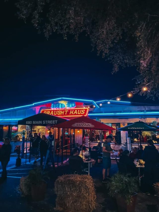 11 BEST Restaurants in Dunedin, Florida 2024