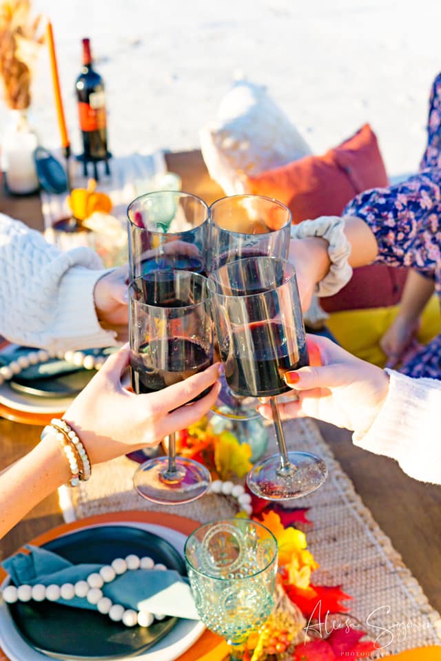 Friends cheersing with glasses of red wine at a beach picnic on Indian Rocks Beach