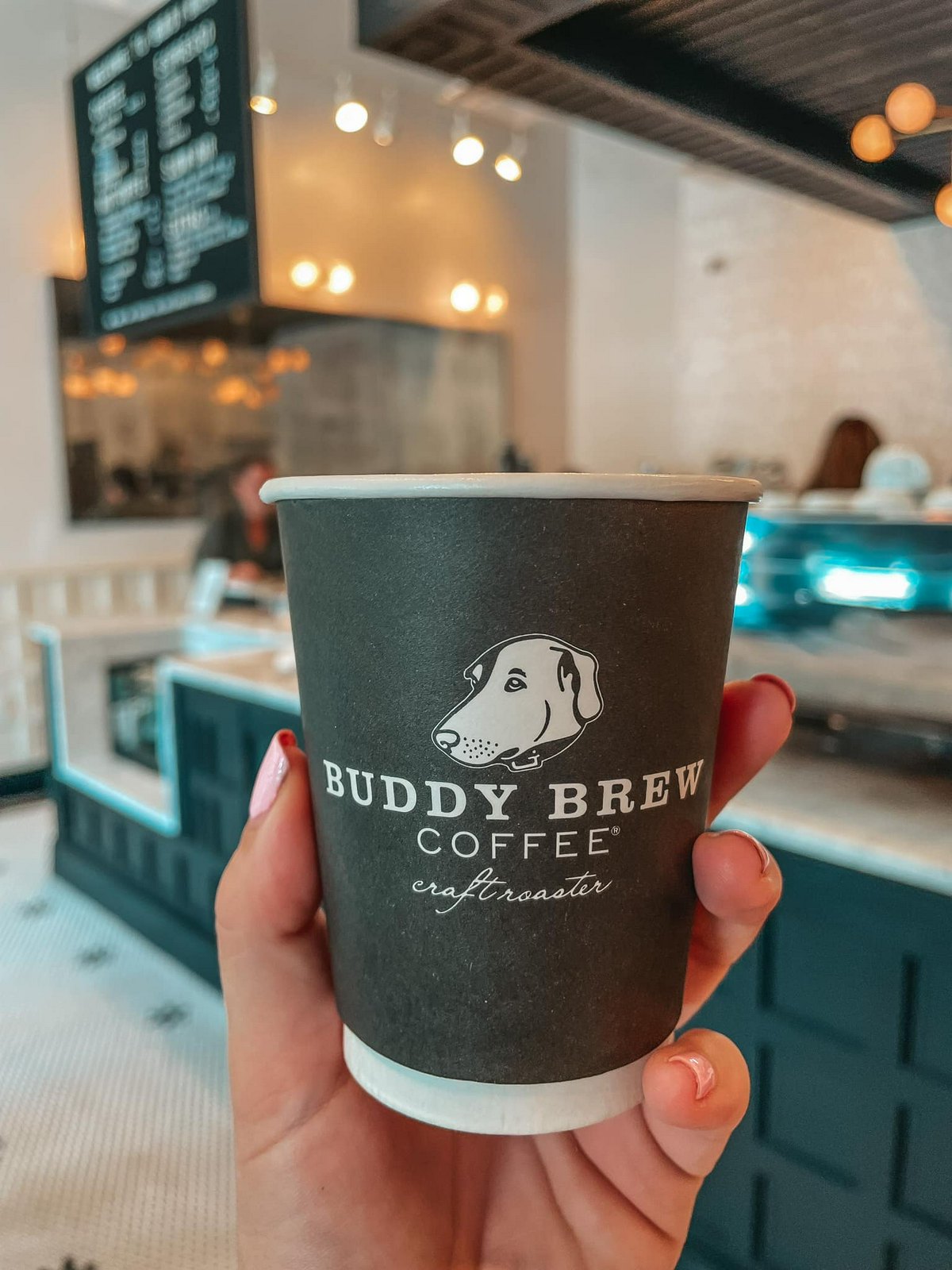 Buddy Brew Coffee at Tampa location