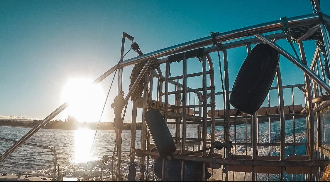 cage on the back of a boat heading to go cage diving with sharks on the North Shore