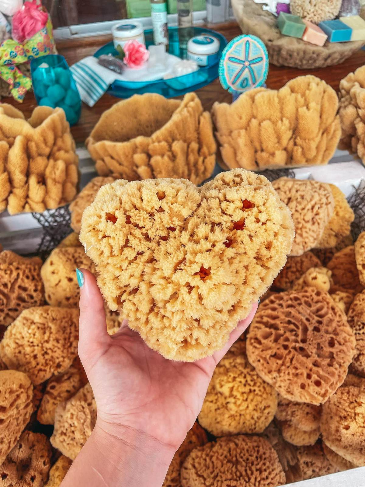 Sponges from Tarpon Springs Sponge Docks