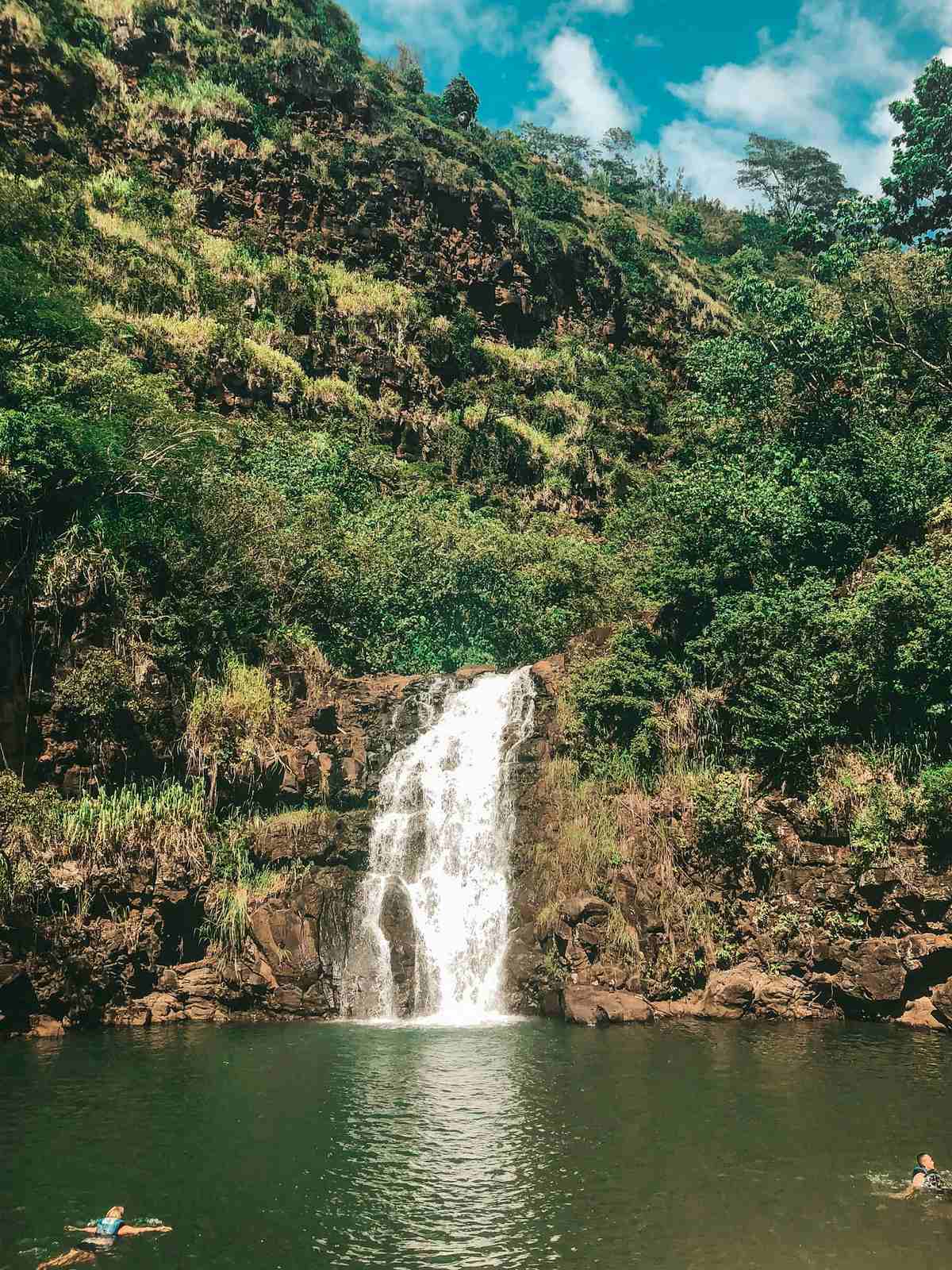 Waimea Valley waterfall on the North Shore