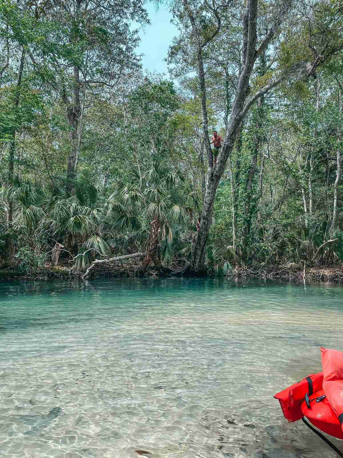 Clear waters at Weeki Wachee Springs in Florida