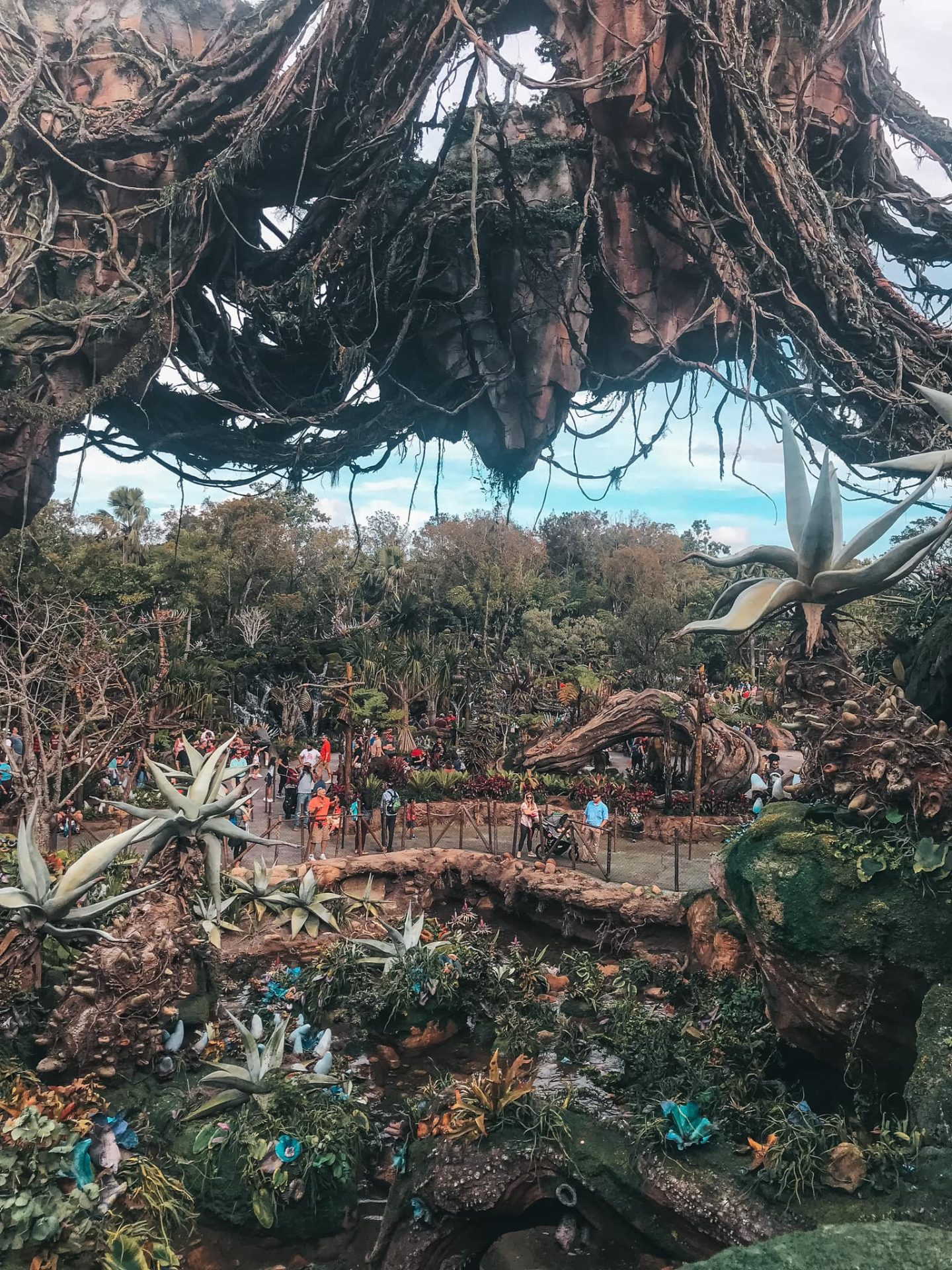 Disney's Animal Kingdom Avatar World area