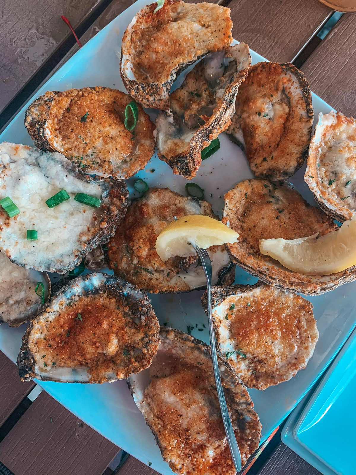 Broiled oysters from Salty's restaurant Clearwater Beach