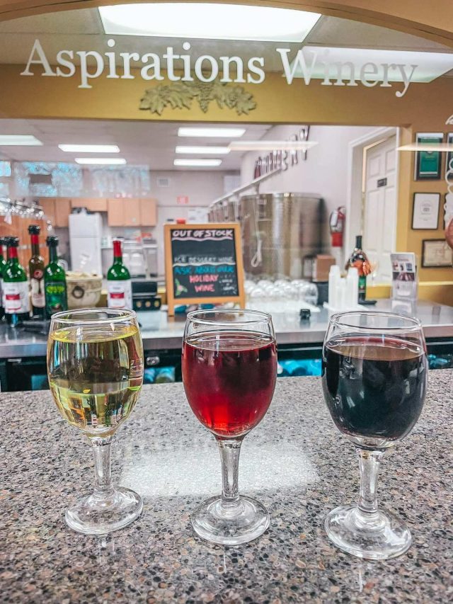 6 Wineries in Tampa Bay You Gotta Check Out! Guided by Destiny
