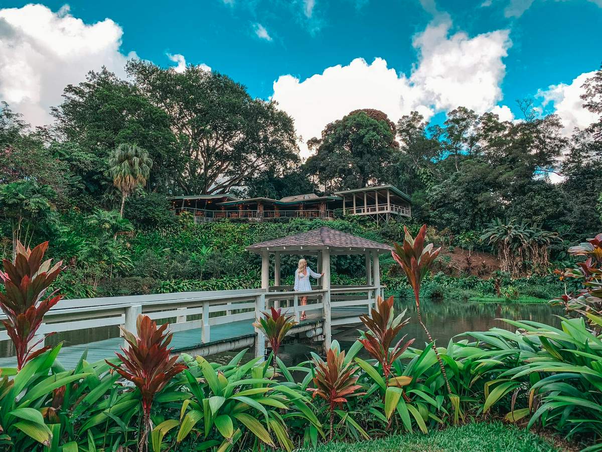 Beautiful, lush garden at Haleiwa Joes in Kaneohe Oahu