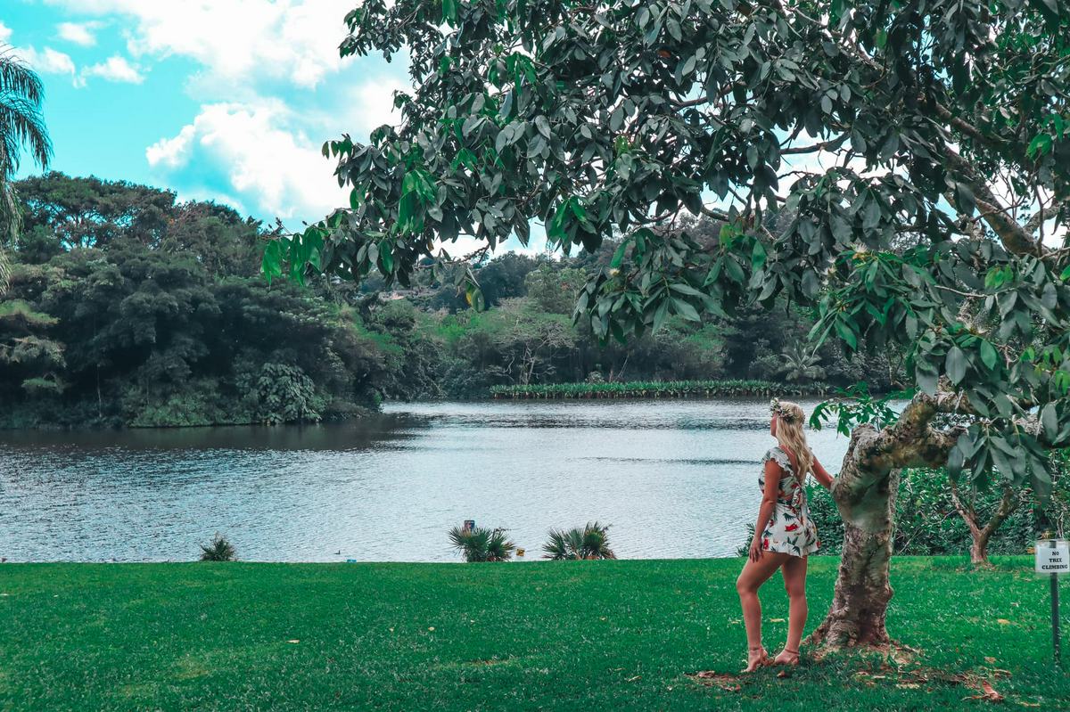 Ho'omaluhia Botanical Garden in Kaneohe on Oahu