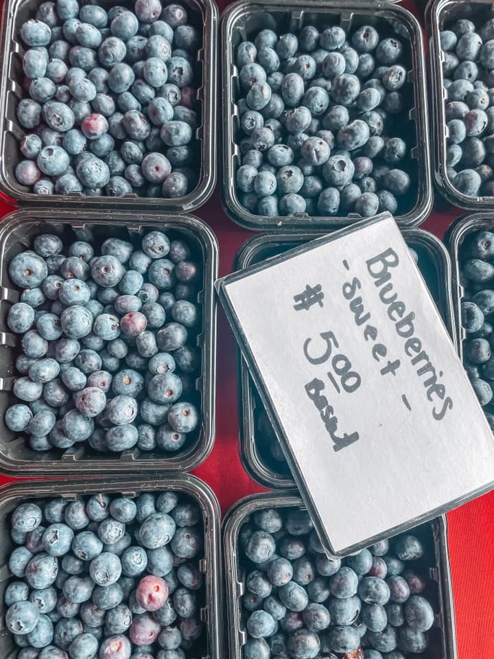 Fresh blueberries from Corey Avenue Market in St. Pete Beach