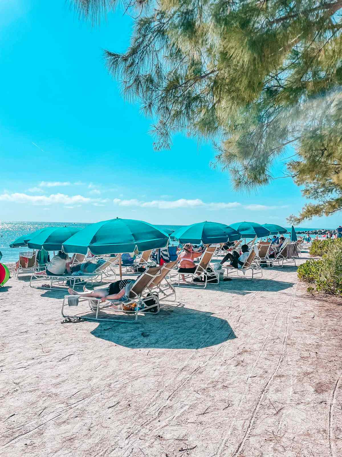 Umbrellas and beach chairs on Fort Zachary Beach in Key West