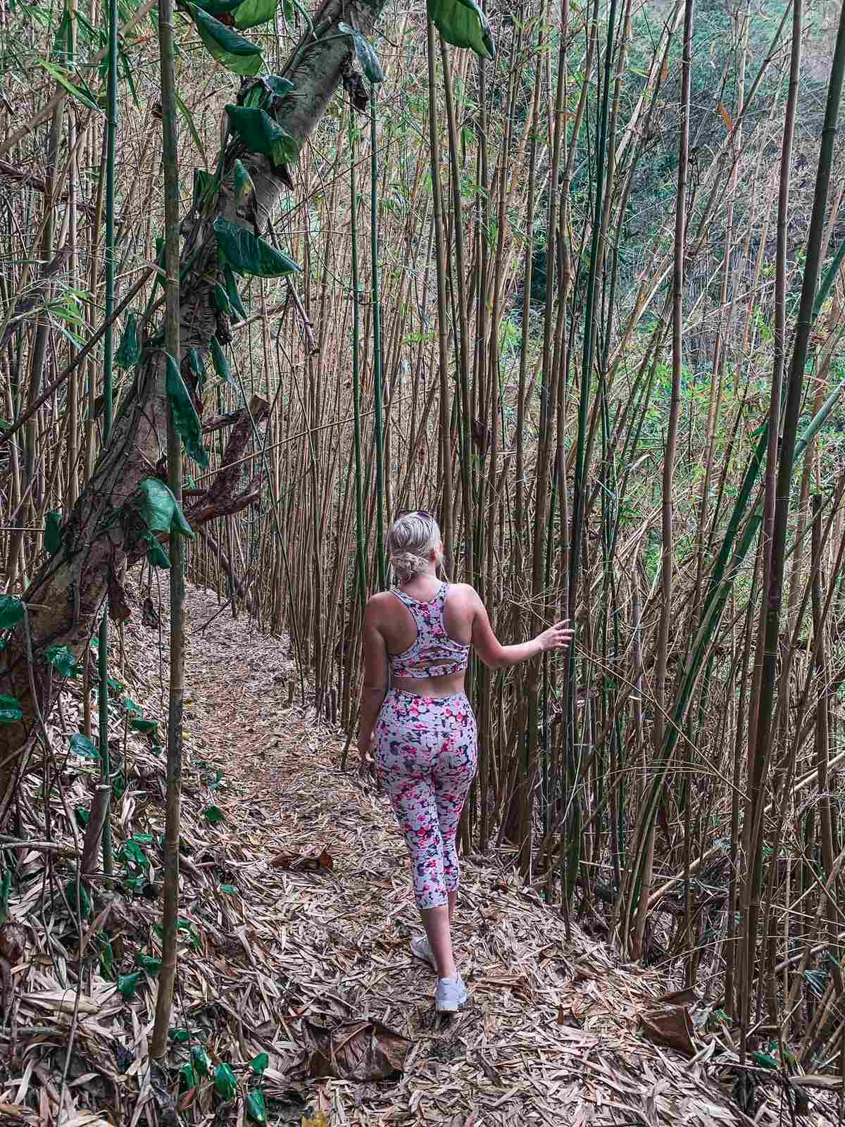 kaneohe friendship garden trail on Oahu