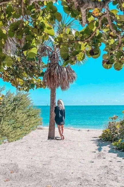 Woman leaning against a palm tree at Fort Zachary beach in Key West