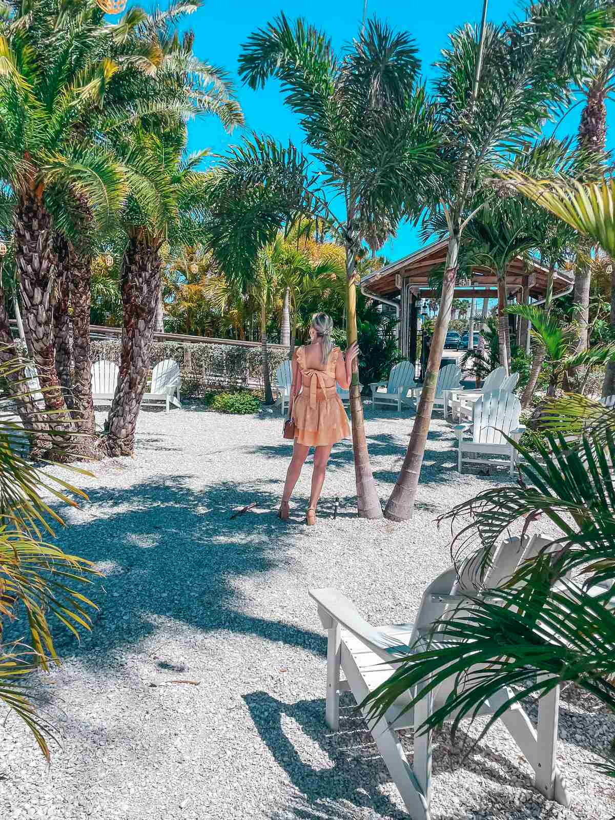 Palm trees at Salt Shack on the Bay in Tampa