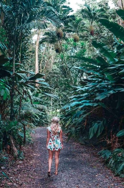 Ho'omaluhia Botanical Gardens in Oahu, one of the best free things to do