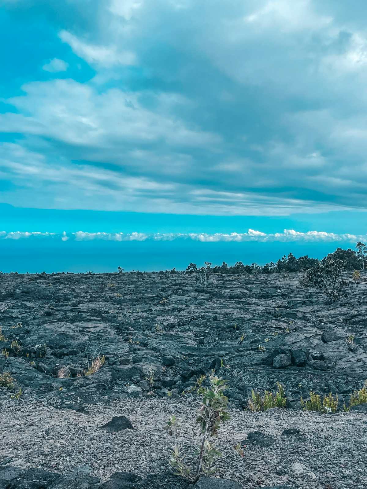 Big Island Volcanoes National Park lava rocks