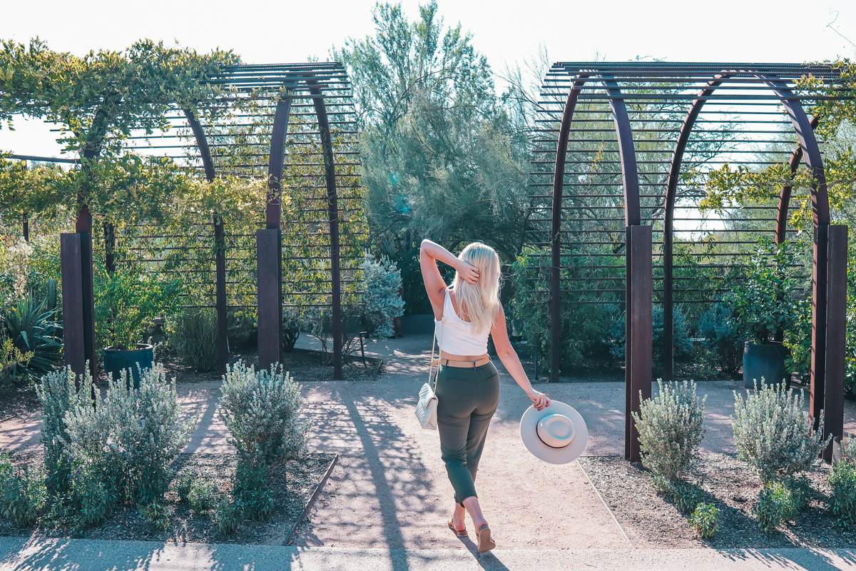 Desert Botanical Garden, one of the best things to do in Phoenix Arizona