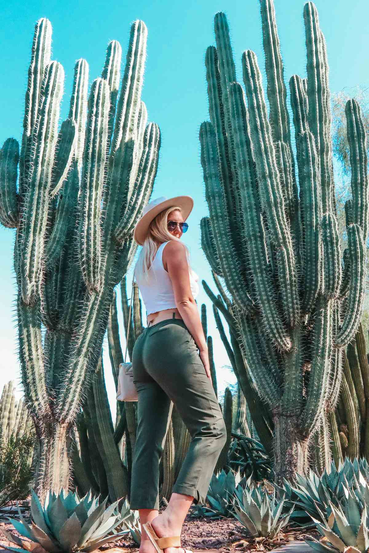 Woman posing with large cacti at the Desert Botanical Garden Arizona