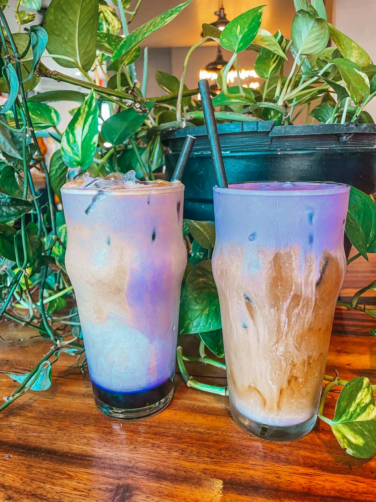 HICO coffee in Kona ube cold brew and ube latte
