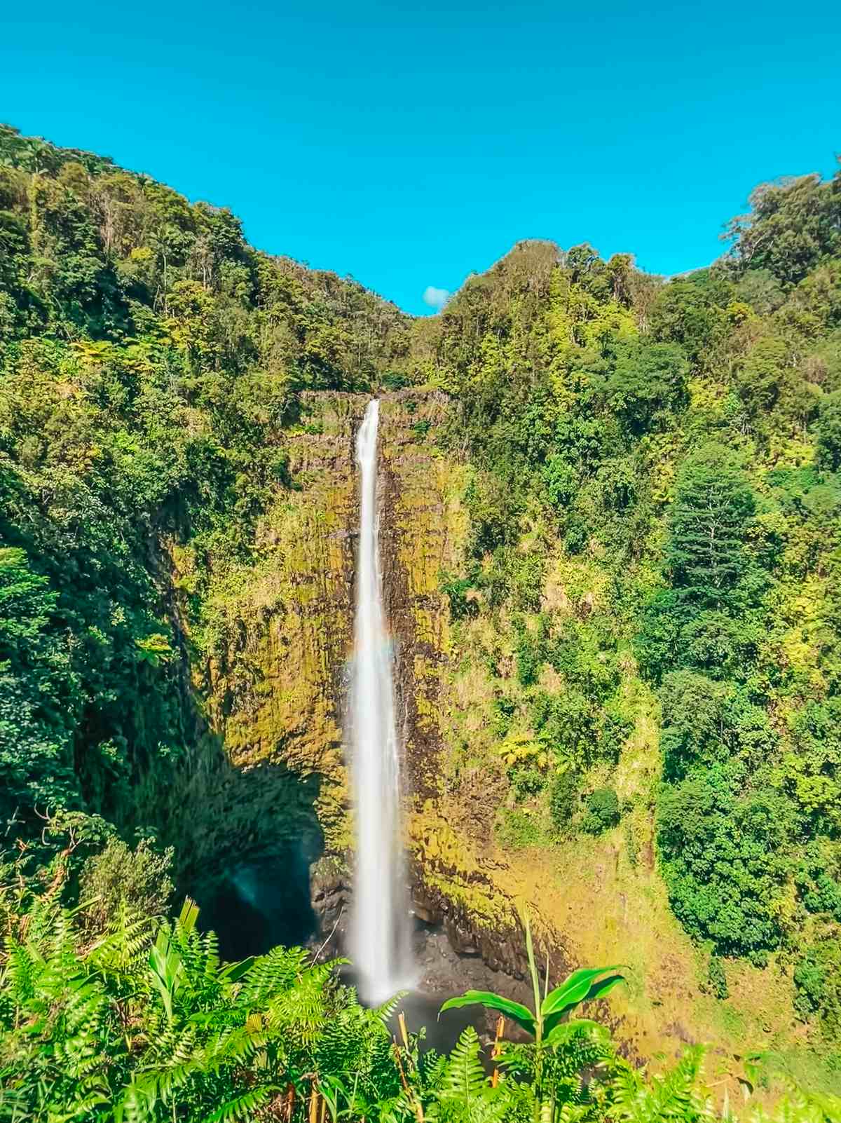 Akaka Falls State Park waterfall