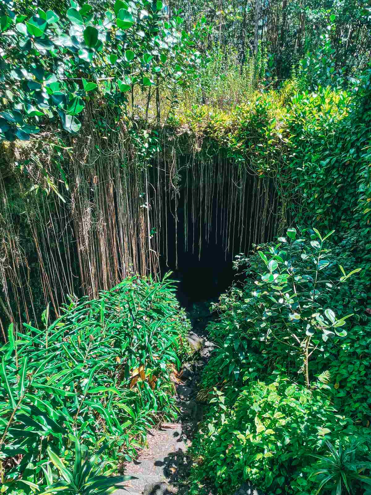 Kaumana Caves on the Big Island