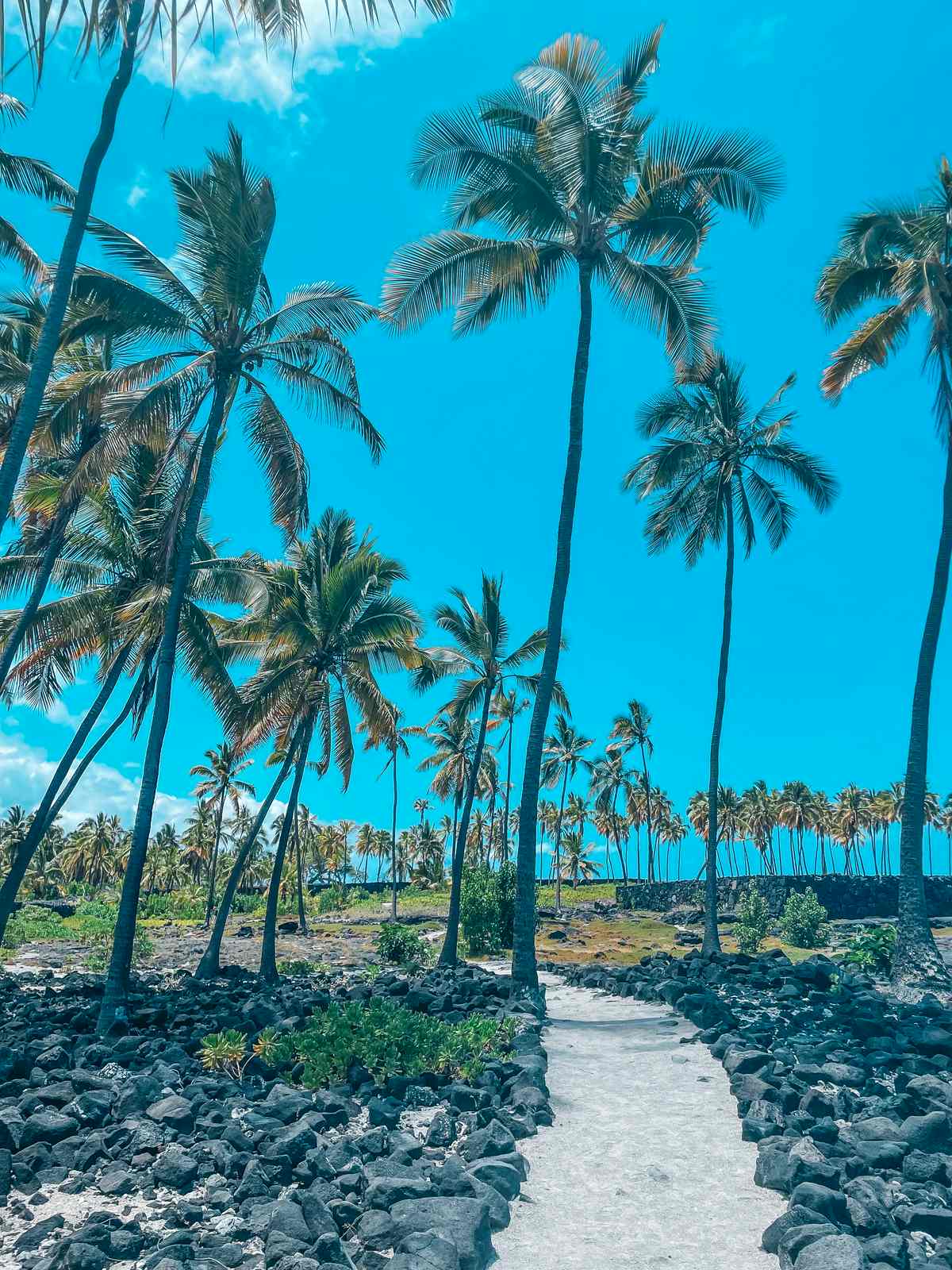 Pu'uhonua O Honaunau National Historical Park Big Island trail