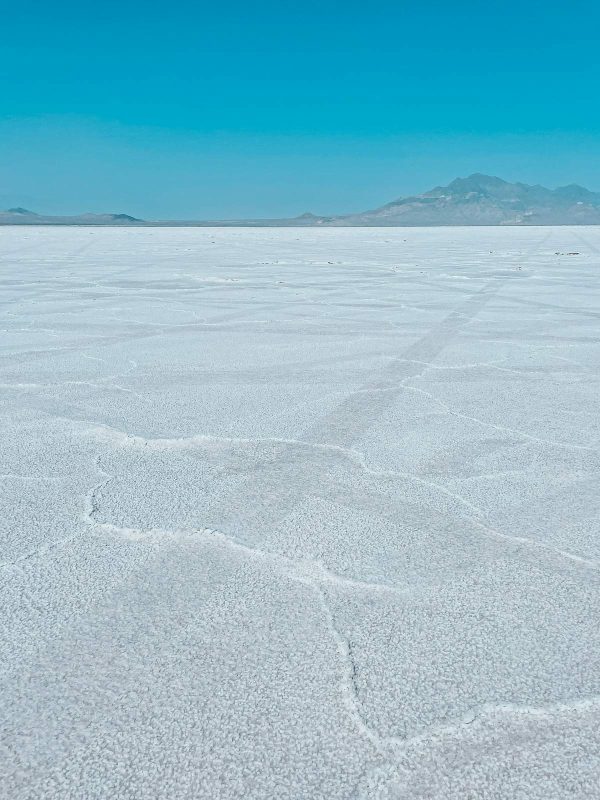 Salt Rocks Utah EPIC 10-Day SLC and Utah National Parks Road Trip